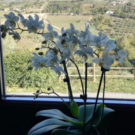 Luce Σαν Μινιάτο